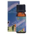 Absolute Aromas | Equilibrium Essential Blend | 10ml Online Hot Sale