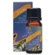 Absolute Aromas | Focus Essential Oil Blend | 10ml Online