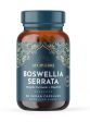 Ayurvediq Wellness | Boswellia Serrata | 60 capsules Fashion