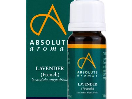 Absolute Aromas | French Lavender Essential Oil | 10ml For Discount