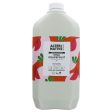 Alter Native | Conditioner - Pink Grapefruit - Normal oily hair | 5l For Discount