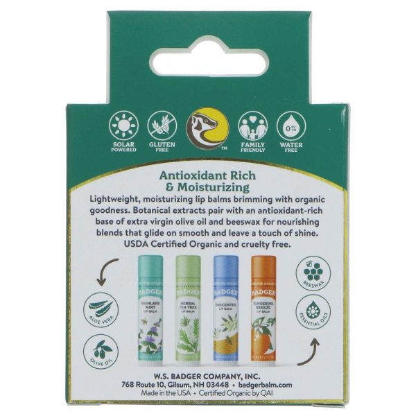 Badger Balm | Lip Balm Sticks - Green Pack - Ginger,unscent,tangerine,mint | sticks Online