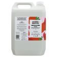 Alter Native | Shampoo - Pink Grapefruit - Normal oily hair | 5l Cheap