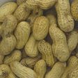 Suma | Roasted Monkey Nuts | 10kg For Cheap