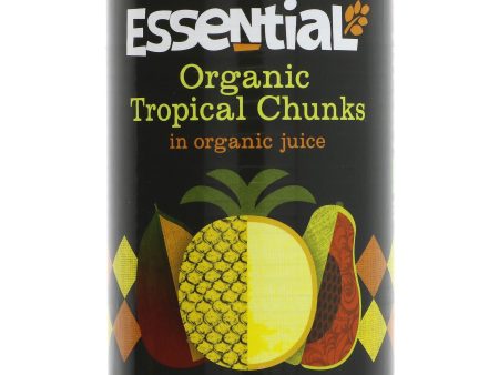 Essential Trading | Tropical Fruits In Org Juice | 400G Online