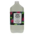 Alter Native | Conditioner - Rose & Geranium - Damaged coloured hair | 5l Online now