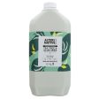 Alter Native | Conditioner - Tea Tree & Aloe - Normal oily hair | 5l Supply