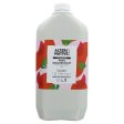 Alter Native | Shampoo - Pink Grapefruit - Normal oily hair | 5l Cheap