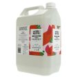 Alter Native | Hand Wash - Pink Grapefruit - Uplifting with lime | 5l Sale